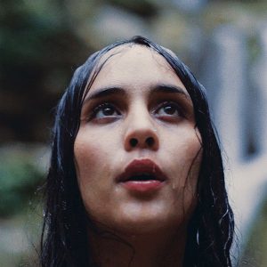 v600_cak114_young_magic_still_life_900